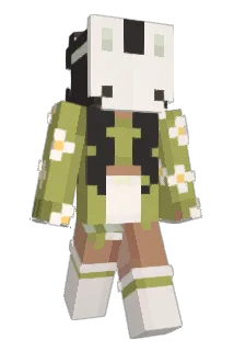 AshNat Minecraft avatar full body