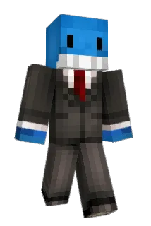 AshR976 Minecraft avatar full body