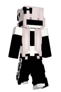 Minecraft-Avatar von Ashelyy_: ganzer Körper