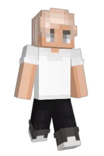 Ashleysmall Minecraft avatar full body