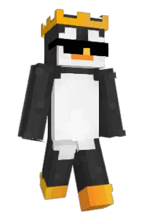 AshuKingJava Minecraft avatar full body
