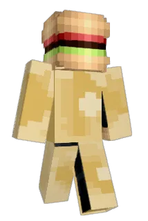 Ashylegs55 Minecraft avatar full body