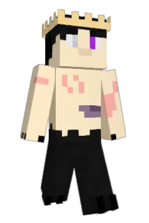 Ashynight Minecraft avatar full body