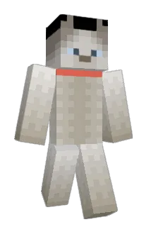 AsianGangster22 Minecraft avatar full body