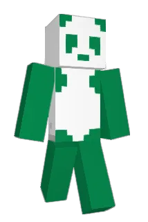 Asidy Minecraft avatar full body