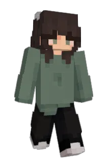 Asle_ Minecraft avatar full body