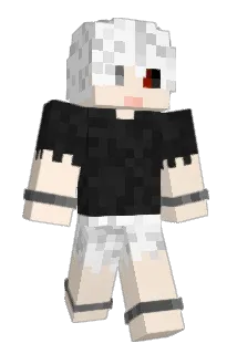 Asopro1071 Minecraft avatar full body
