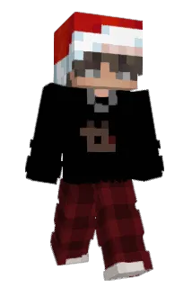 Aspxect Minecraft avatar full body