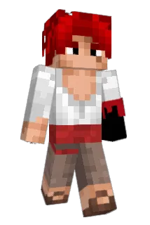 AssAssAss Minecraft avatar full body