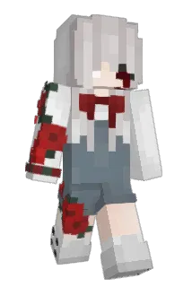 AssImAermel Minecraft avatar full body