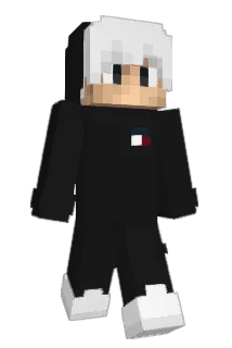 Asvin Minecraft avatar full body