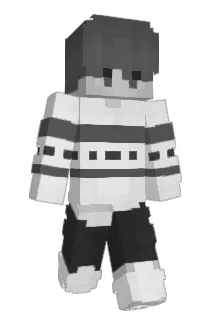 Atemprobleme Minecraft avatar full body