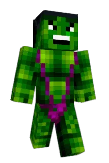 Au_some Minecraft avatar full body