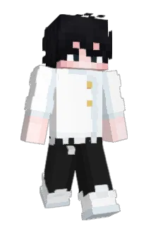 Audience77 Minecraft avatar full body