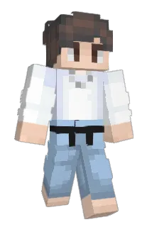 Audious Minecraft avatar full body