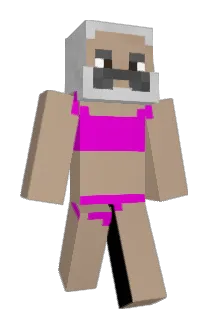 AuntyPat Minecraft avatar full body