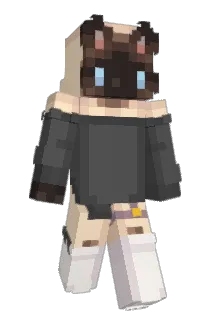 Aur0ra_NA Minecraft avatar full body
