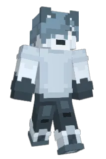 Aur47 Minecraft avatar full body