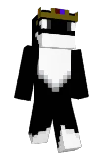 Austiiiism Minecraft avatar full body