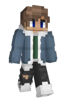 AustinandBerry Minecraft avatar full body