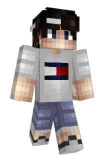 Autistismic Minecraft avatar full body