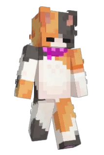 Auucee Minecraft avatar full body
