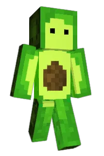 Avakadoo101 Minecraft avatar full body
