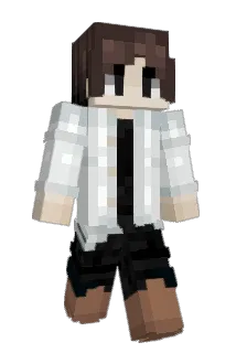 AvengerDejf Minecraft avatar full body