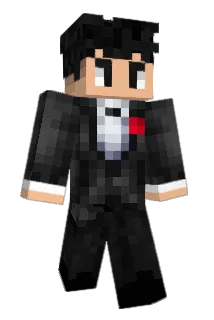 AverageTurtle Minecraft avatar full body