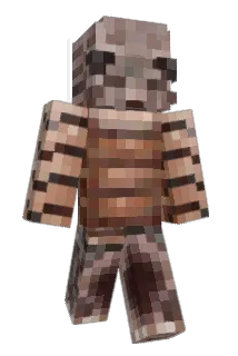 AverageWalrus Minecraft avatar full body