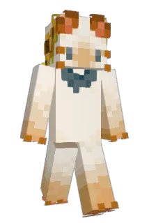 Avesfelidae Minecraft avatar full body