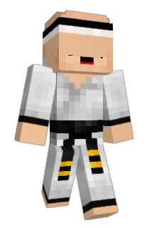 Avinity_ Minecraft avatar full body