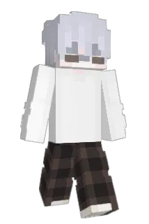 Avocado9032 Minecraft avatar full body