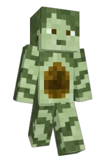 Avocadodragon Minecraft avatar full body