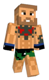Custom render preview