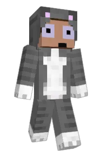 Awarder Minecraft avatar full body