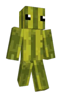 Awesome2011 Minecraft avatar full body