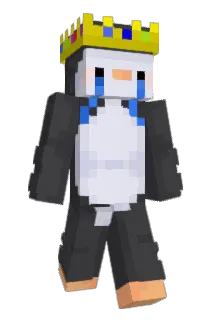 Awukop Minecraft avatar full body
