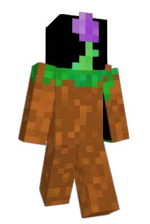 AxelXd1210 Minecraft avatar full body
