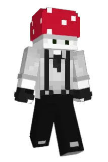 Axerios_ Minecraft avatar full body