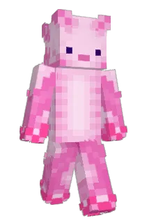 AxolotlKing05 Minecraft avatar full body