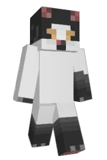 Axolotlz11 Minecraft avatar full body
