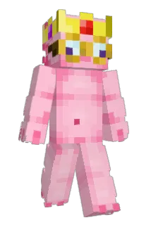 AxoolRem Minecraft avatar full body