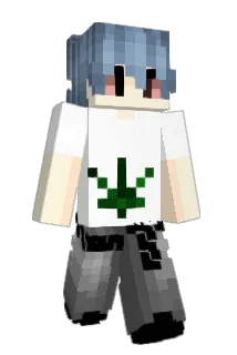 Ayalon2009 Minecraft avatar full body