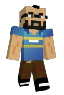 Ayelik Minecraft avatar full body