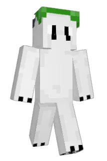 Aymbord Minecraft avatar full body