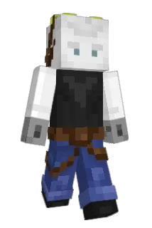 AynGoose Minecraft avatar full body