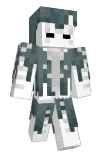 Minecraft-Avatar von Ayzak_MC: ganzer Körper