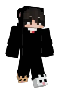 AznDman55 Minecraft avatar full body