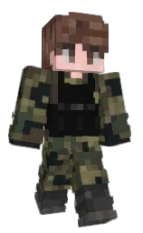Custom render preview